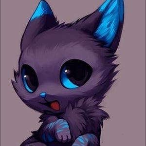 Meet your Posher, Libbi